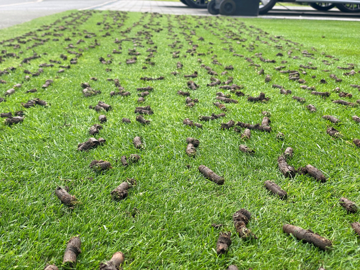 Lawn Aerator