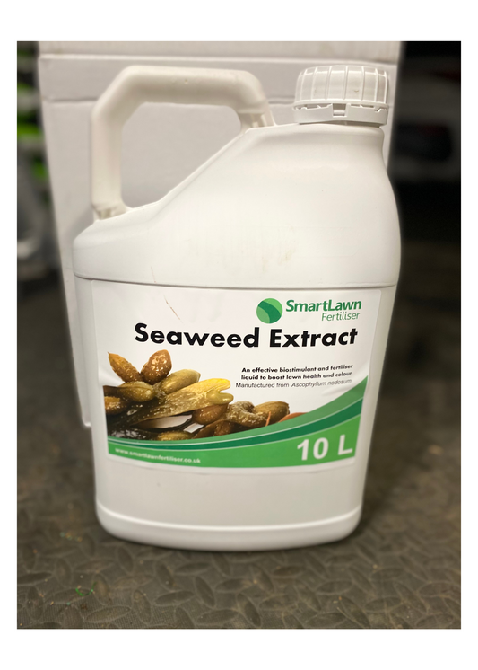 Seaweed Concentrate